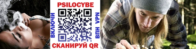 купить сайты Новокузнецк KRAKEN зеркало Галлюциногенные грибы Magic Shrooms