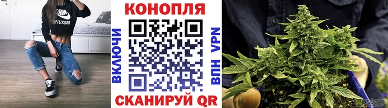 Марихуана семена  OMG ссылки  Новокузнецк  наркотики 